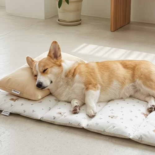 Bed_0
