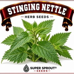 STINGING NETTLE – Urtica dioica xx15 seeds
