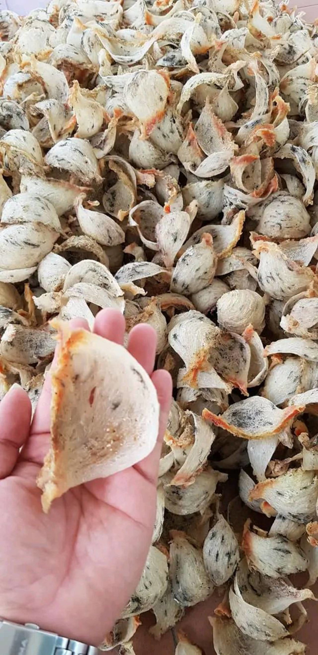 Matrial Cave Nest 1Kg