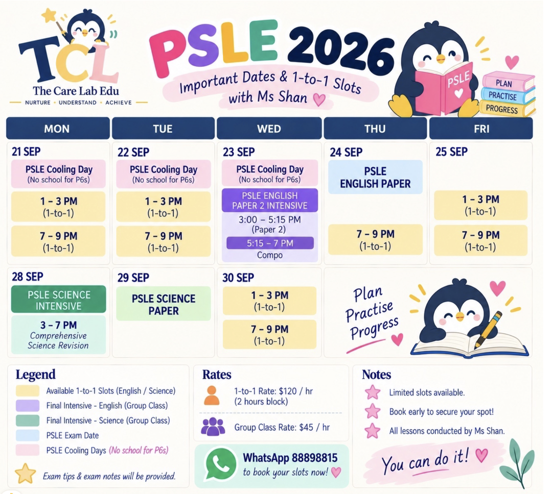 PSLE Recap 2026