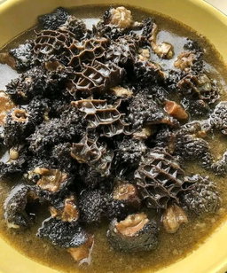 Mogodu half plate 