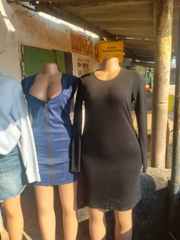 Ladies Dresses