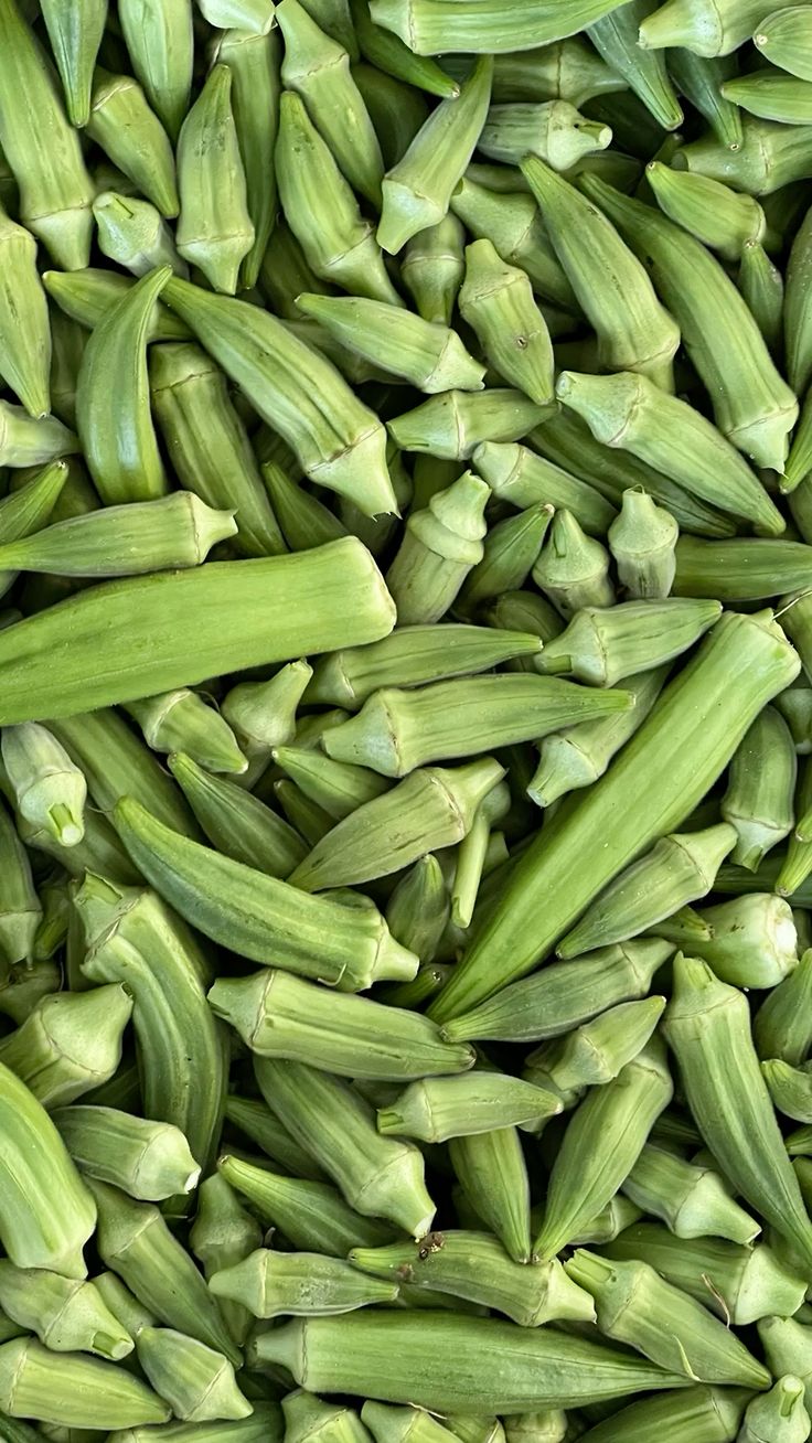 باميا بغداد