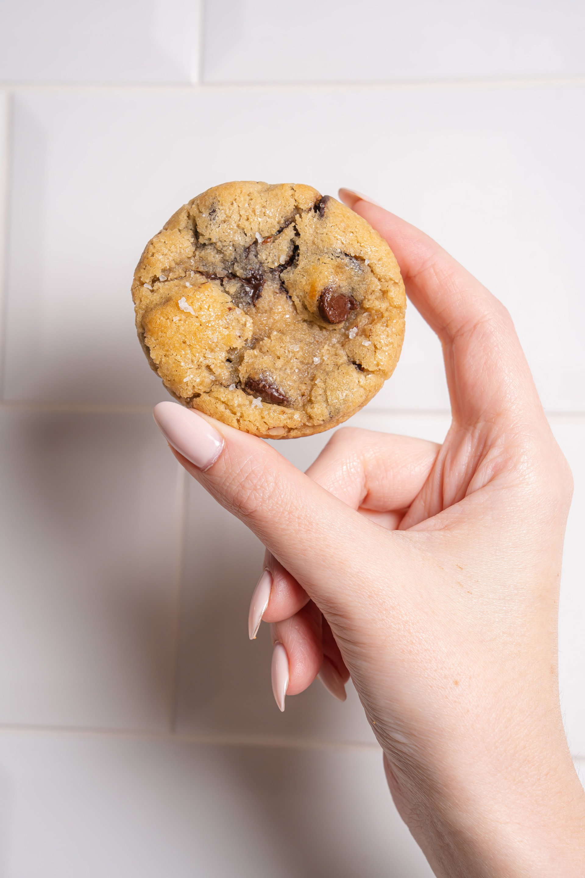 Chocolate Chips and Pecans cookie box_0