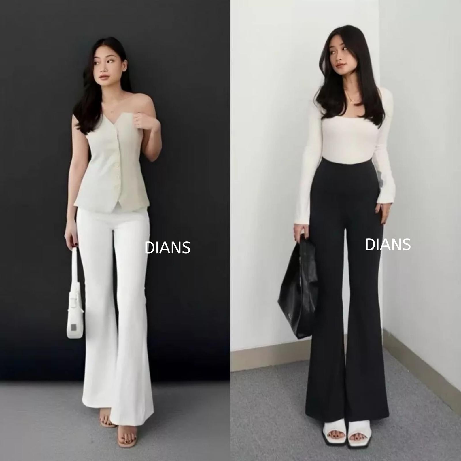 DIANS - Celana Fit And Flare Pants Cutbray _0
