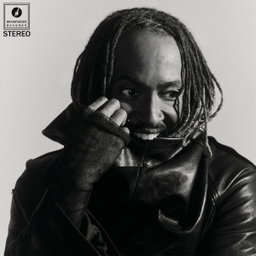 Thundercat - "Distracted" LP