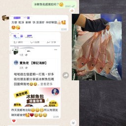 本地紅衫魚🧊(約12兩)(3條裝⚠️)(已清洗及處理好)