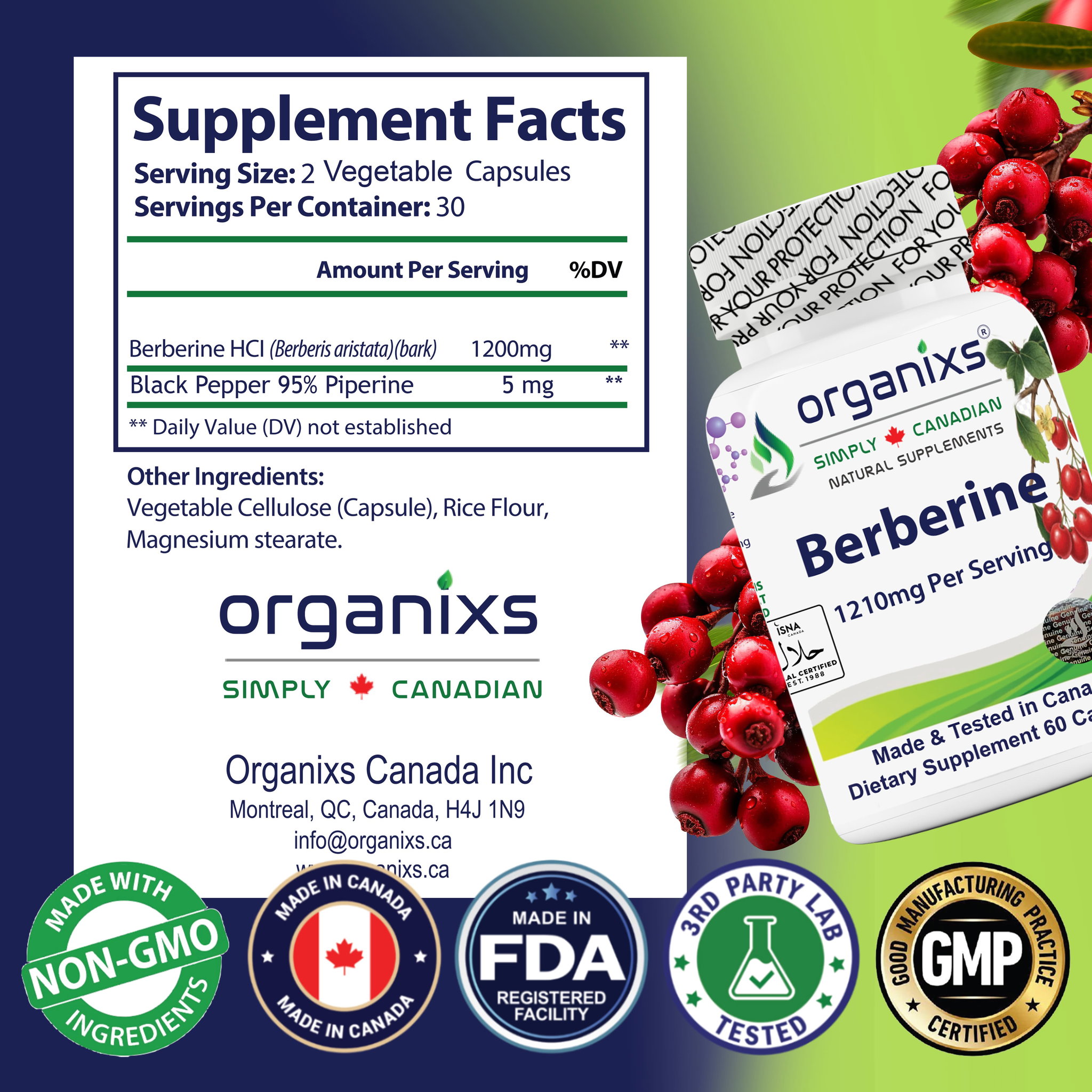 ORGANIXS BERBERINE 1210mg_4
