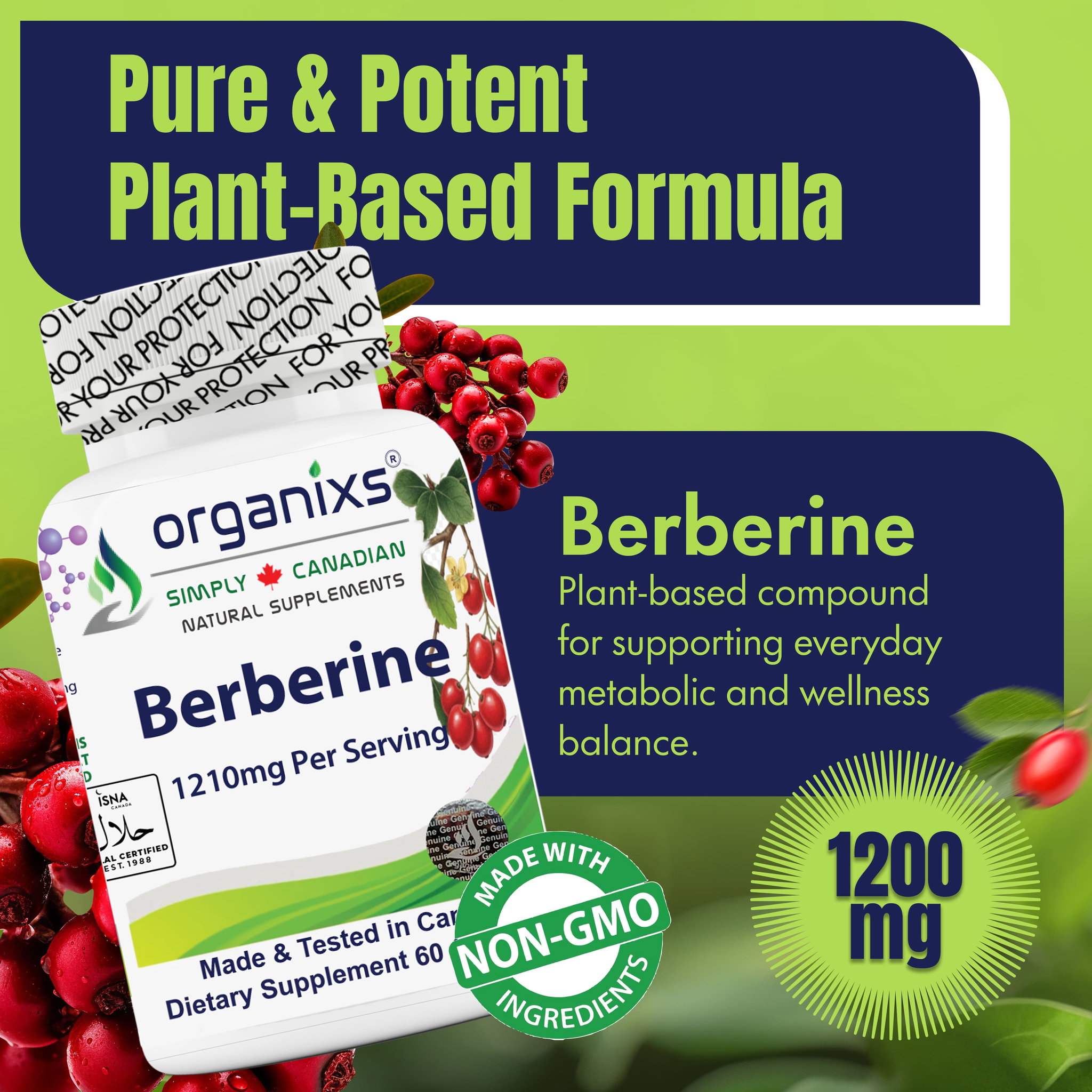 ORGANIXS BERBERINE 1210mg_2