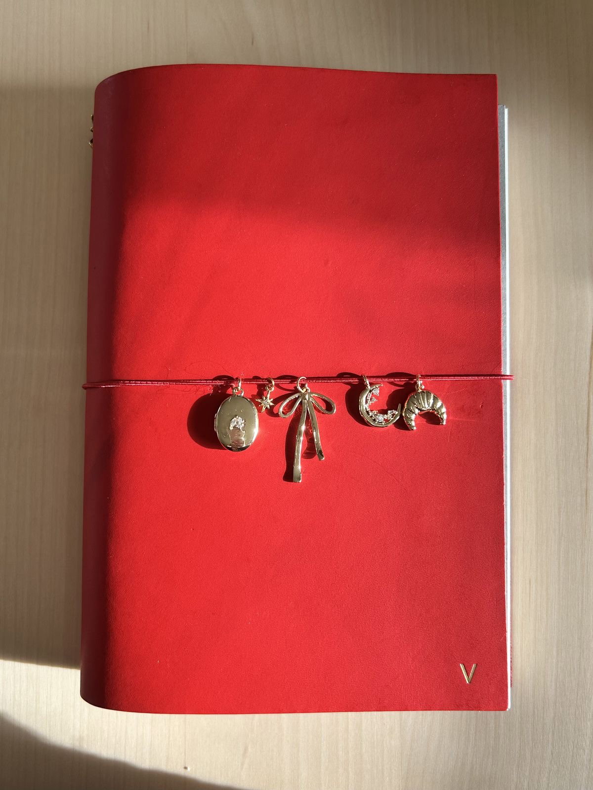 Red leather journal_0