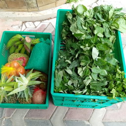 Local Kienyeji/Indigenous Greens