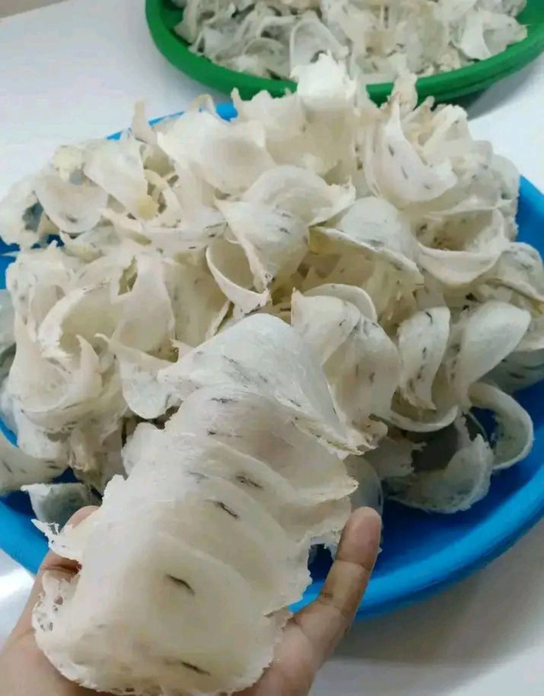matrial A5 bulu ringan 1Kg