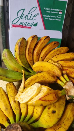 Pisang Kepok