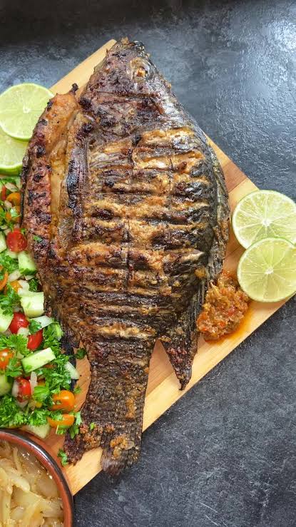 TILAPIA_0