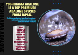 [UP TO 79-99 PCS PER CAN] Yoshihama Baby Abalone (Ah Ma Secret Braise) - 454g(DW:150g)