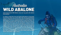 [WILD ABALONE SALE] Australia Wild Abalone - 425g (DW:140g) (1 Whole Piece)