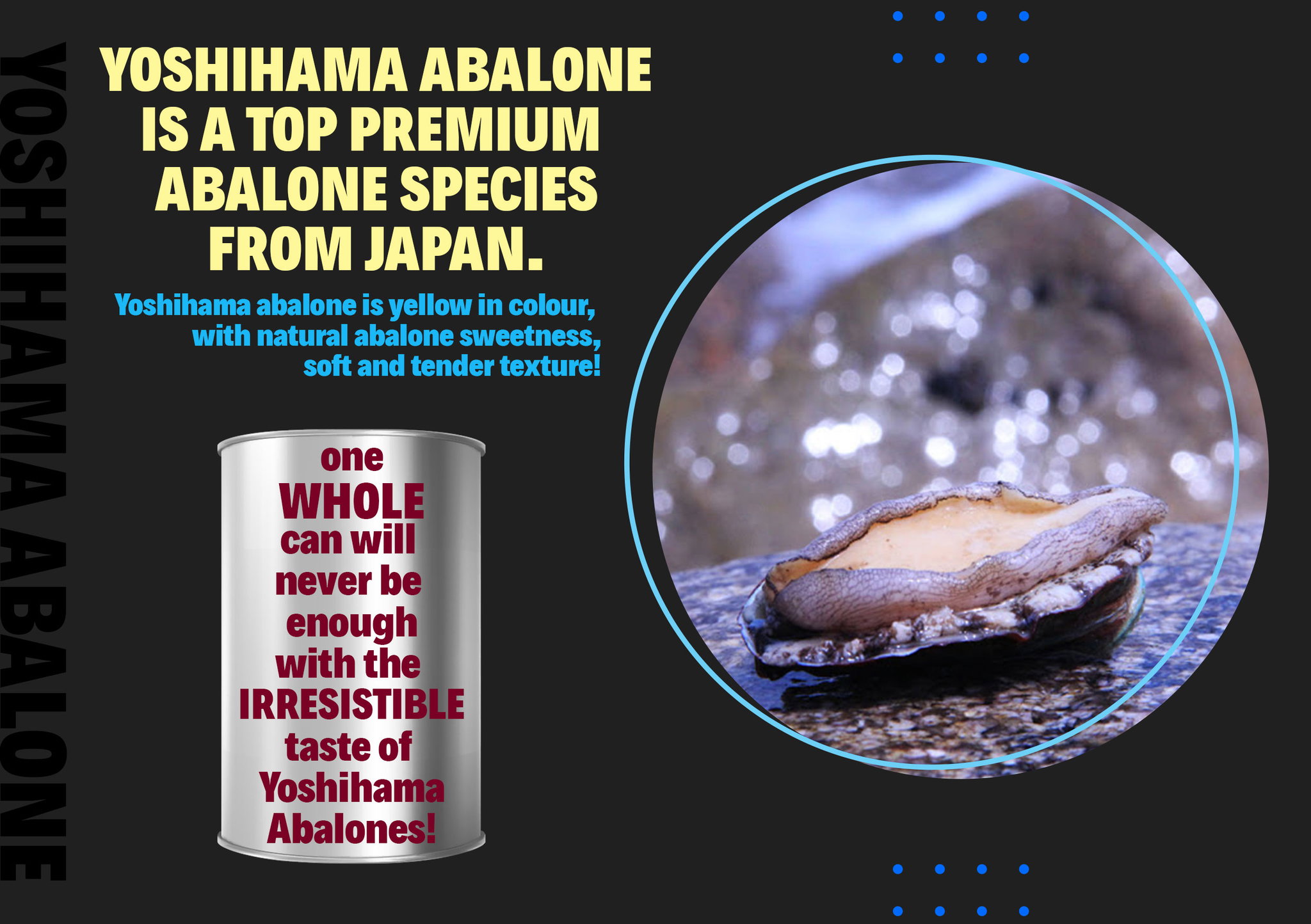 Good Lady Yoshihama Abalone Gift Set (Ah Ma Brine / Ah Ma Secret Braise) 2 cans x 425g_1