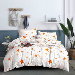 Bedsheets with 4 pillowcase