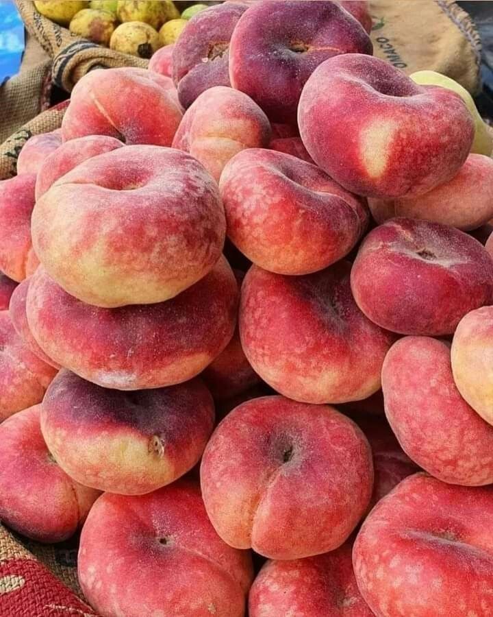 خوخ تيني 