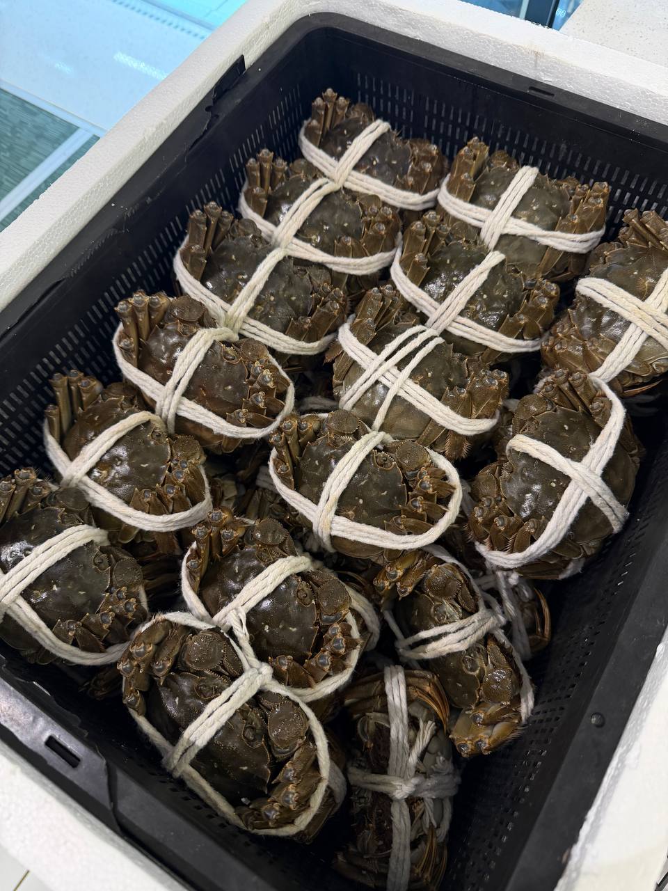 Premium Chinese Female Hairy Crab 精品大闸蟹 | 三两半 | 170–180g_1