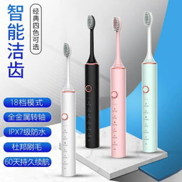 Rechargeable electric toothbrush