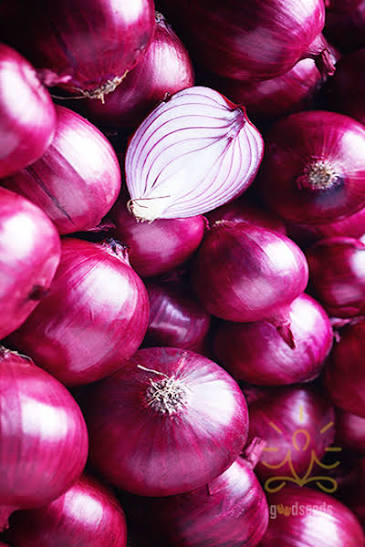Onion/ vitunguu_0