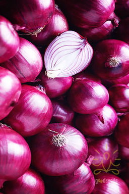 Onion/ vitunguu