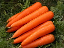 Karoti