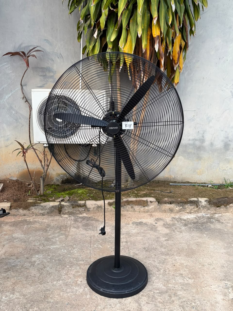 Stand Fan big 