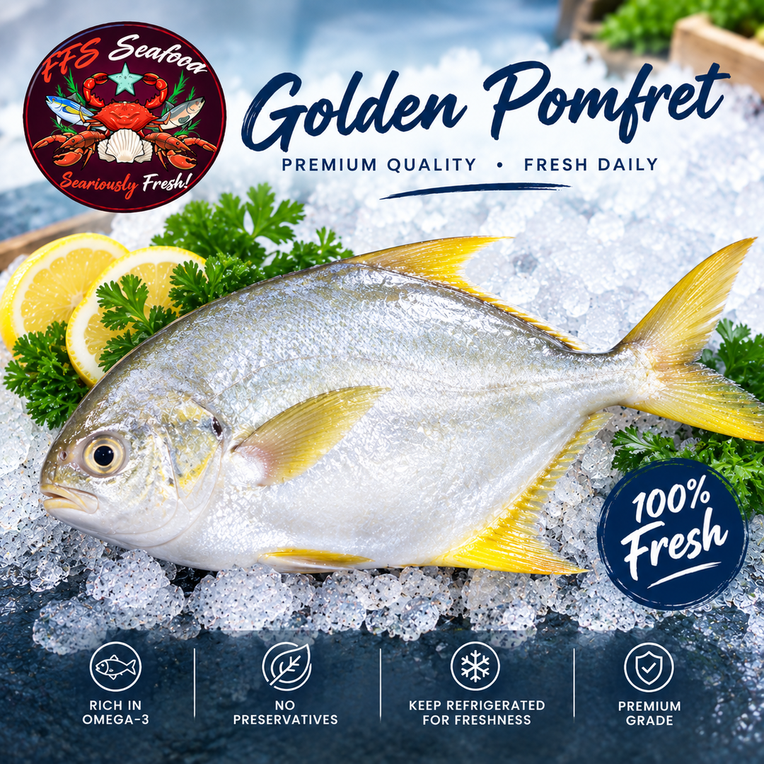Golden Pomfret (500g+/-)