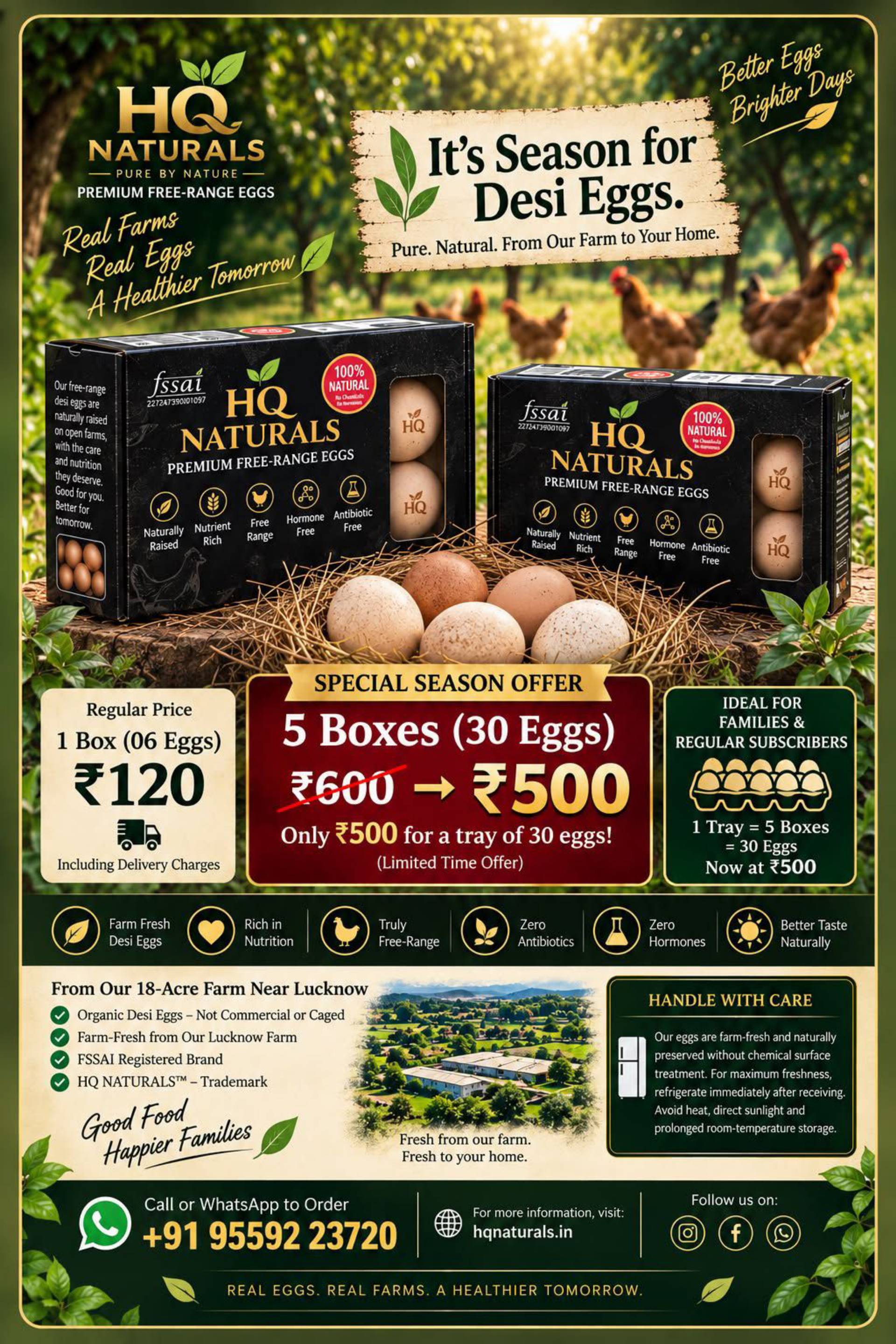 Box of 06 Free Range Eggs from HQ Naturals_0