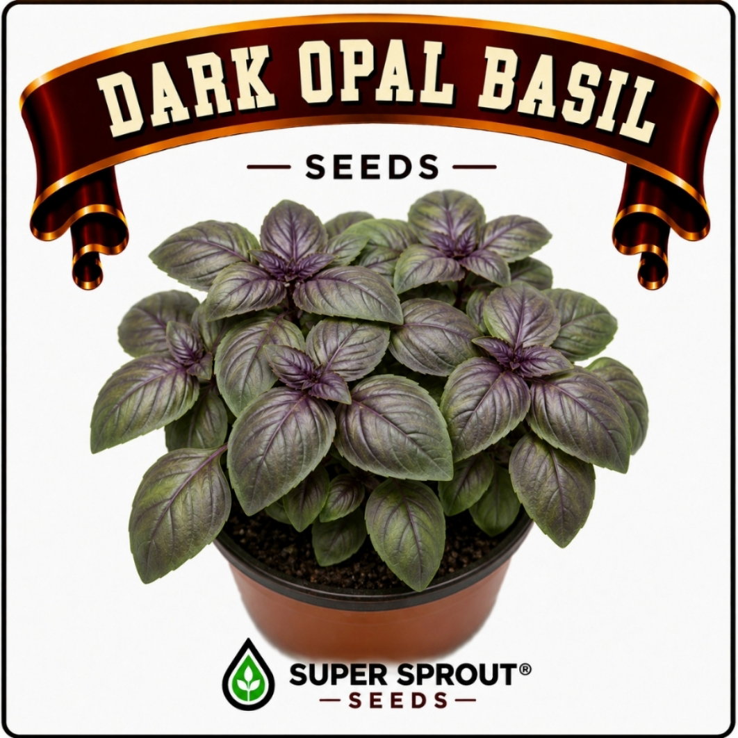 Opal Basil x 25 seeds