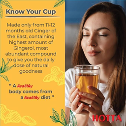 HOTTA Instant Ginger Drink Powder (Sugar Free) - 7g x 12s