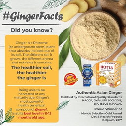 HOTTA Instant Ginger Drink Powder (Sugar Free) - 7g x 12s