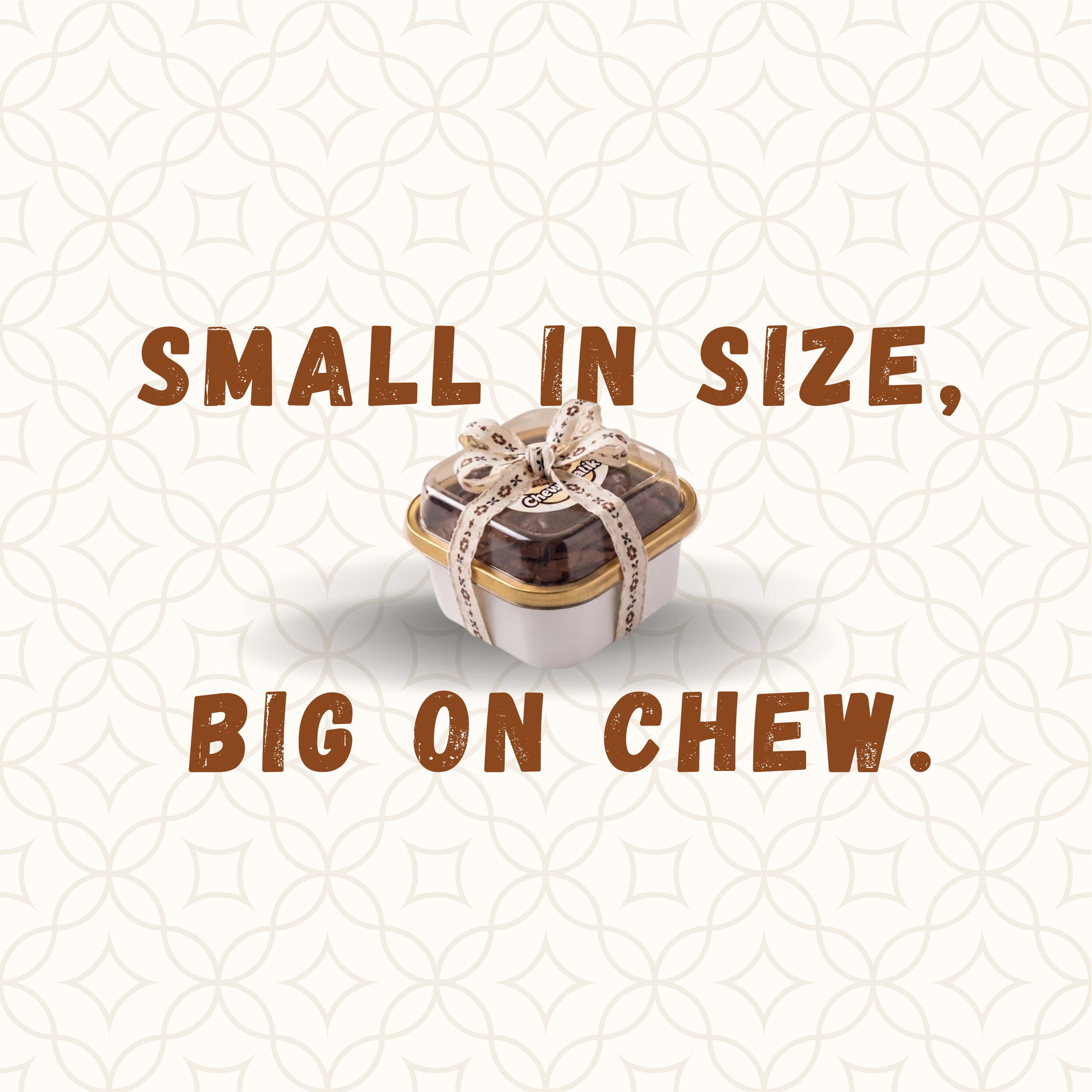 Lil' Chewy_0
