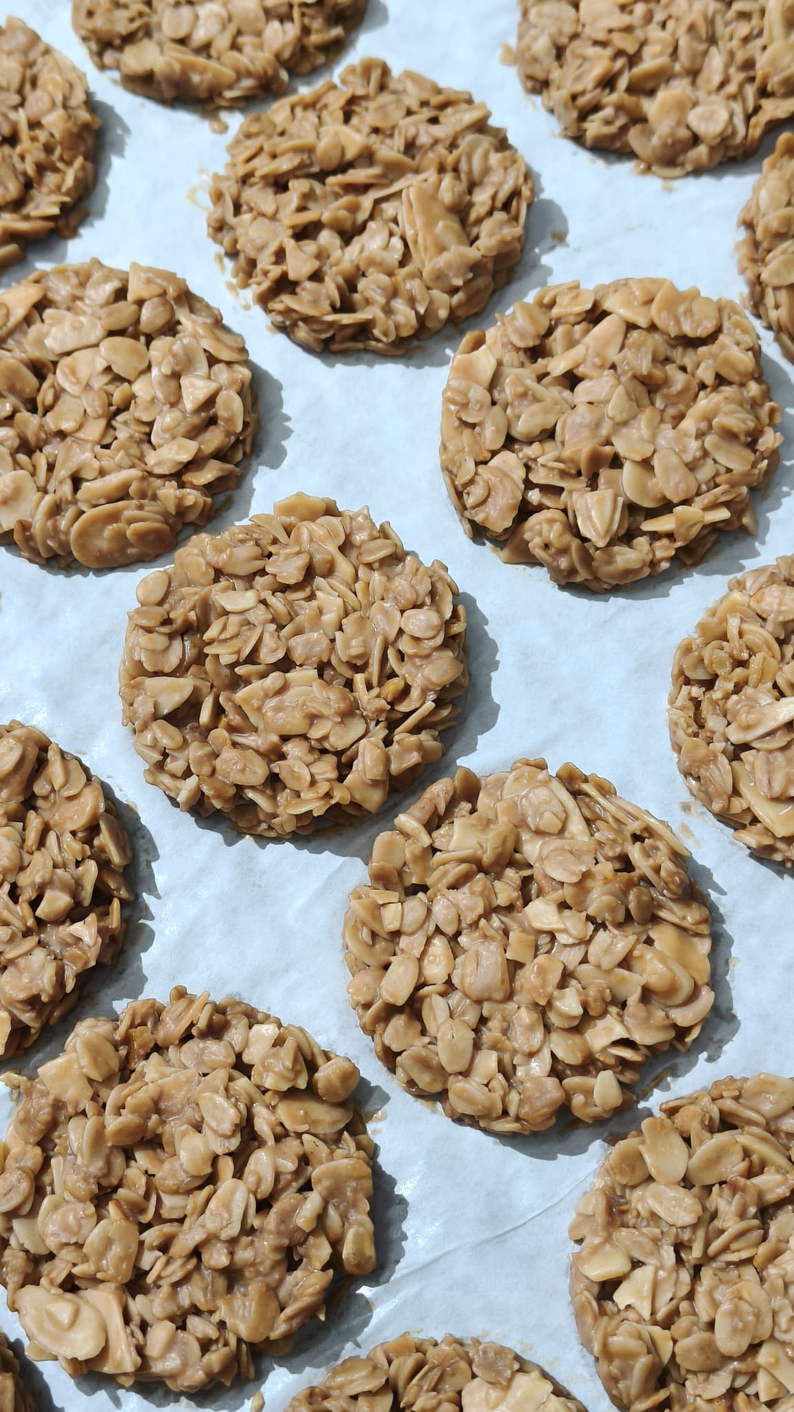 loose oat crunch_0