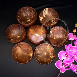 Batok kelapa | mangkok kelapa
