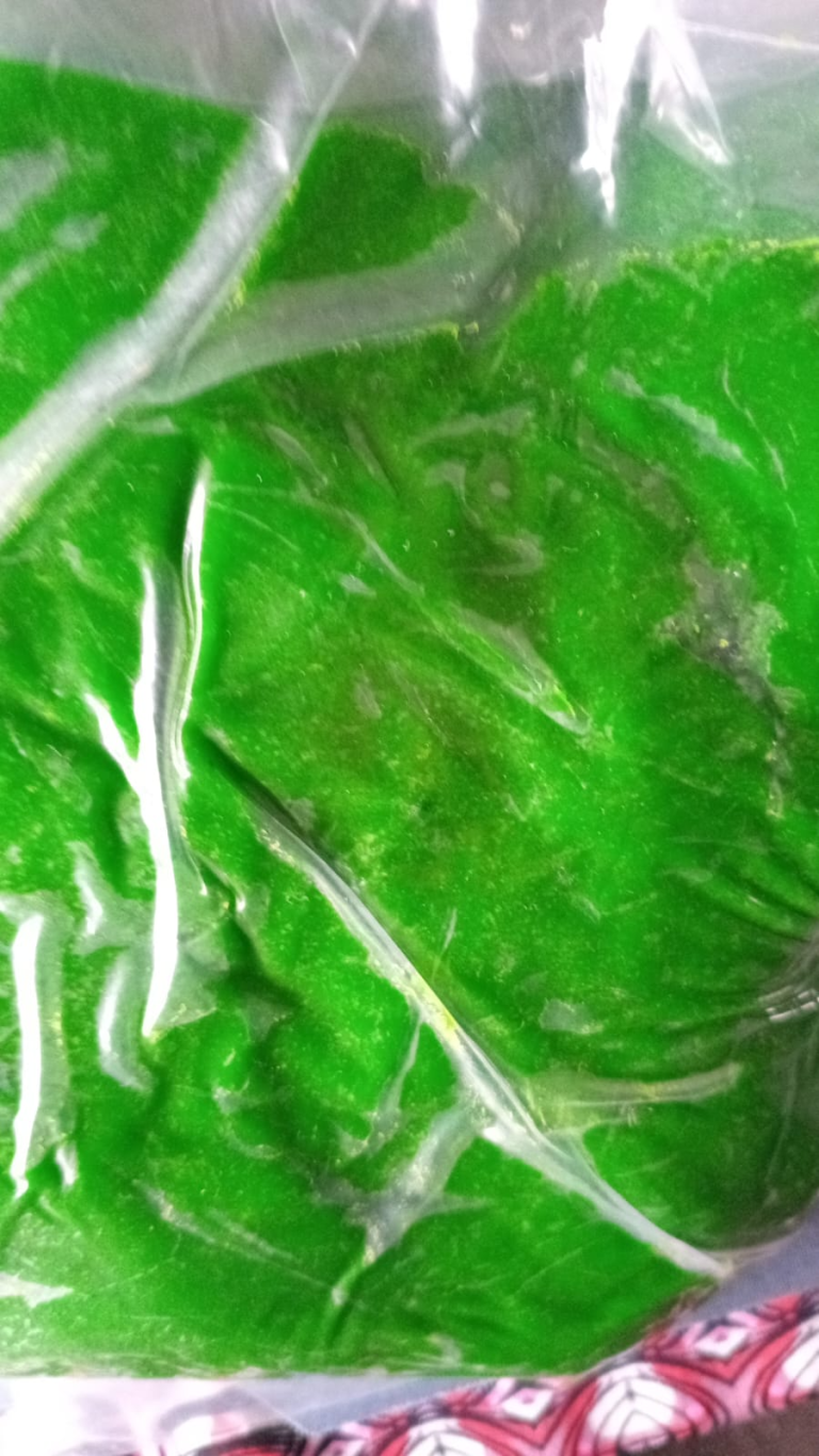 Green Kids Play Dough - 1kg