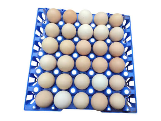 Eggs🥚🍳_2