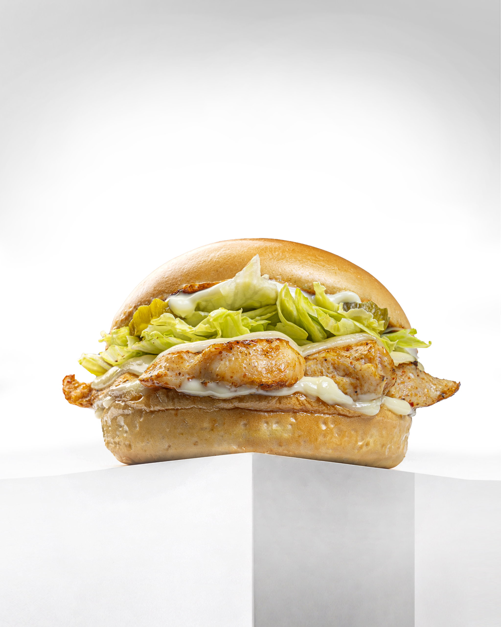 Charcoaled Chicken_0