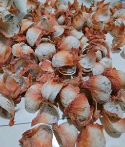 原料 洞穴巢穴 VIP 1kG