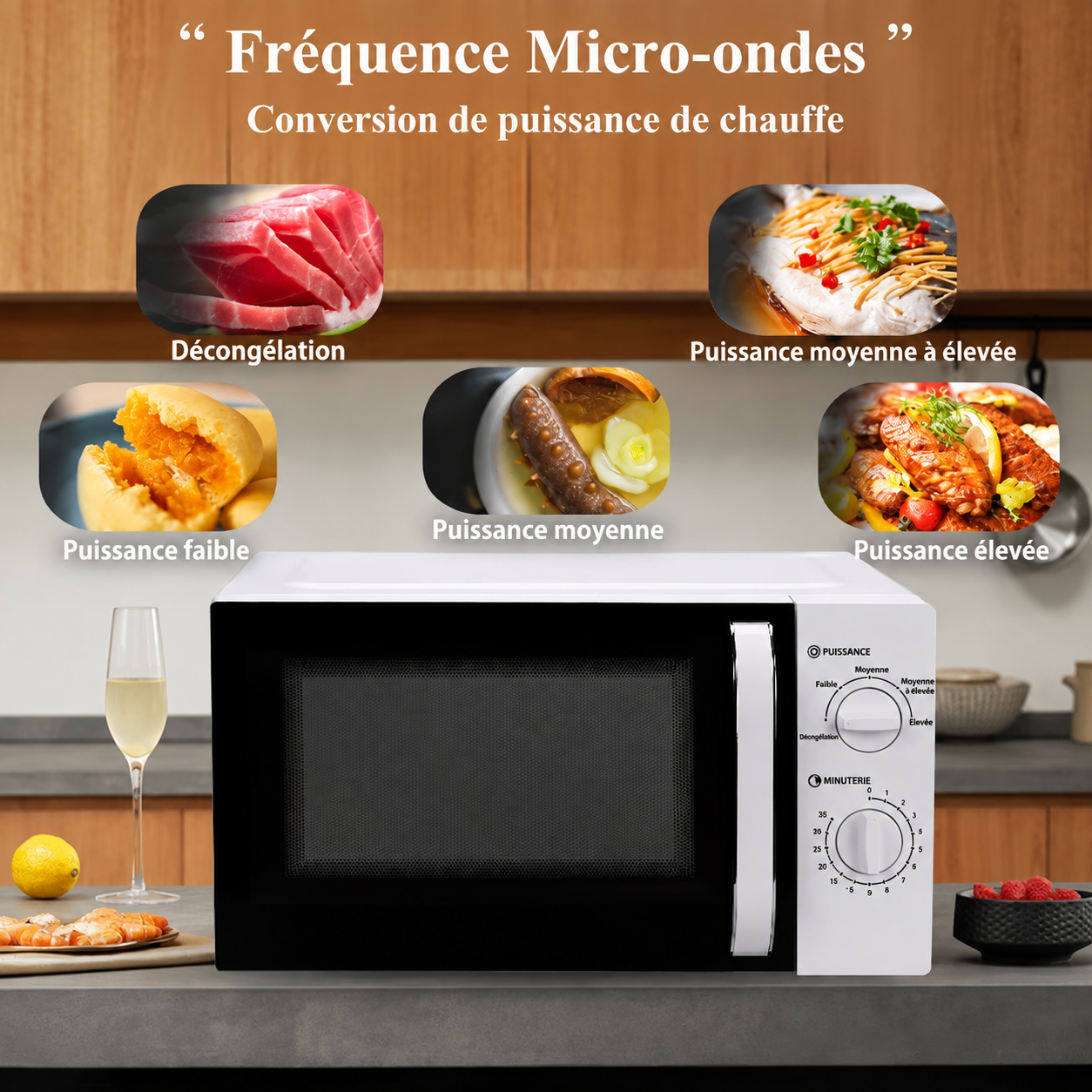 MICRO-ONDES 25 L_0