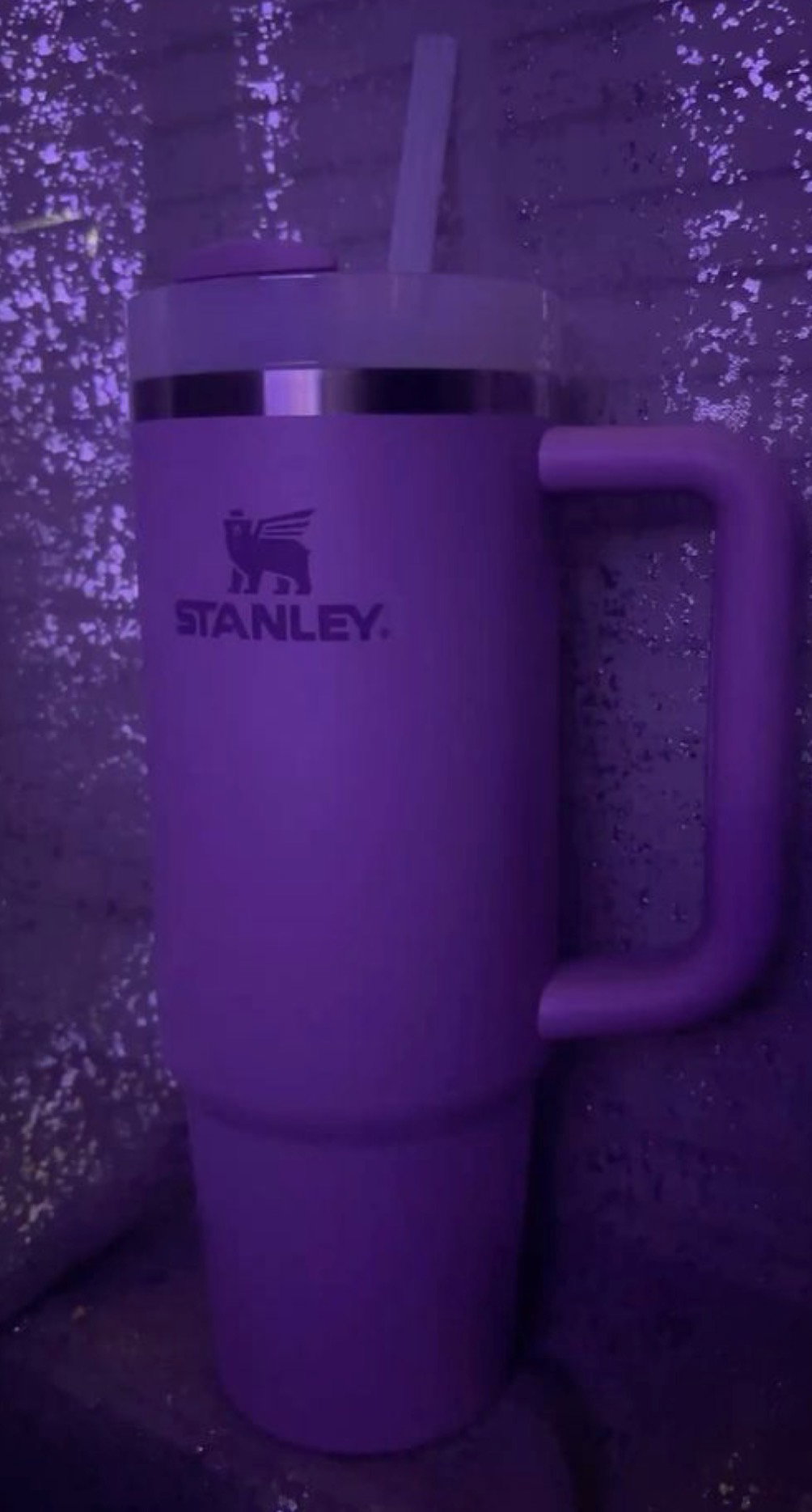 Stanley Violet_3