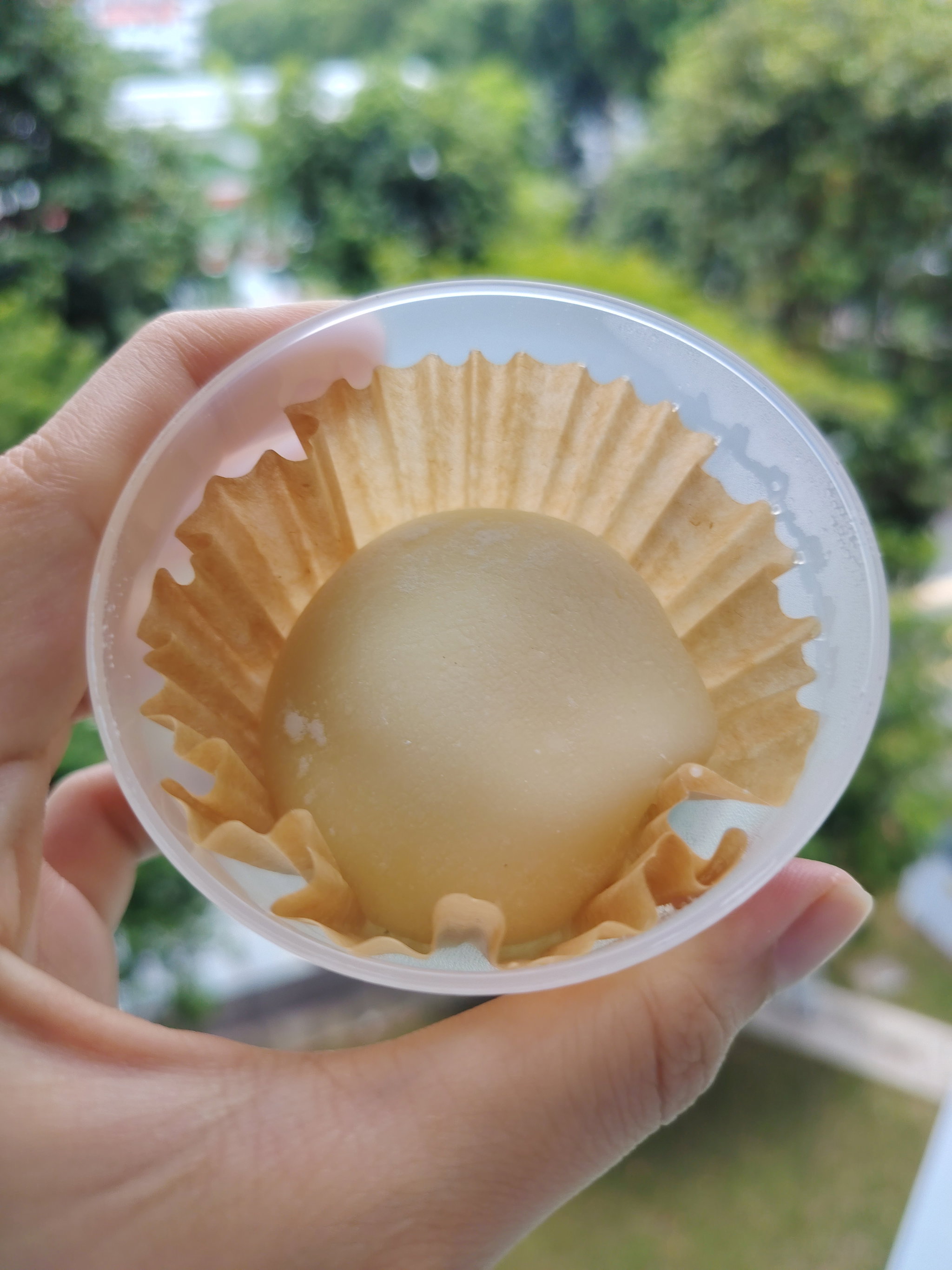 Osmanthus pomelo mochi_0