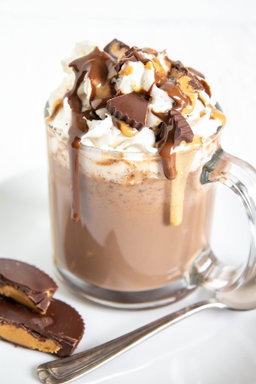 Chocolate Peanut Butter Bliss