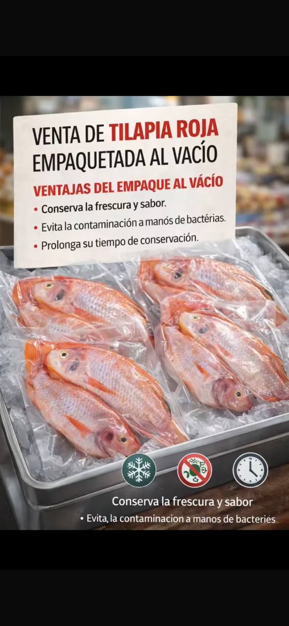 Tilapia roja empacada al vacio_0