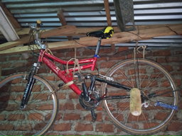 Mountain bike