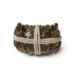 Premium Chinese Female Hairy Crab 精品大闸蟹 | 三两半 | 170–180g