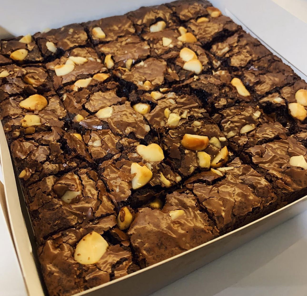Macadamia Nut Brownies_1
