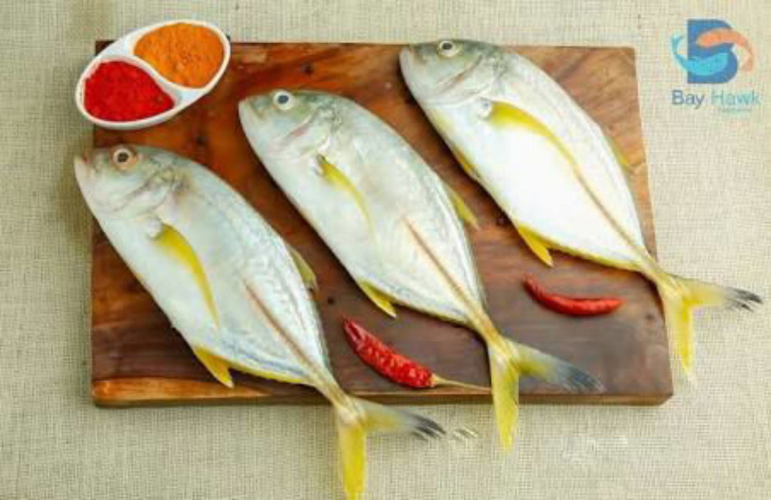 PARAI (Trevally fish) CUBES/SLICE